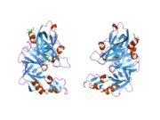 2g1y: Ketopiperazine-Based Renin Inhibitors: Optimization of the ""C"" Ring