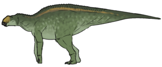 <i>Secernosaurus</i> Extinct genus of dinosaurs