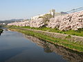 2009年4月18日 (土) 10:32時点における版のサムネイル