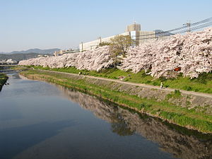 高野川（御蔭通の橋上より）