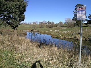 <span class="mw-page-title-main">Tia River</span> River in New South Wales, Australia