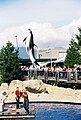 High-jump during Pacific White-sided Dolphin show at the Vancouver Aquarium