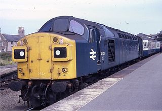 <span class="mw-page-title-main">British Rail corporate liveries</span> Rail liveries introduced by British Rail