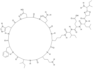 <span class="mw-page-title-main">Polypeptide antibiotic</span> Class of antibiotics