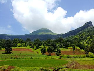 <span class="mw-page-title-main">Brahmagiri (Maharashtra)</span>