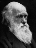 Thumbnail for File:Charles darwin.gif