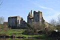 Burg Glénay