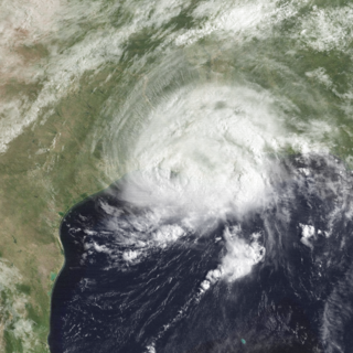 <span class="mw-page-title-main">Hurricane Danny (1985)</span> Category 1 Atlantic hurricane in 1985