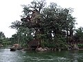 HKDL TARZAN'S TREEHOUSE.jpg