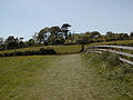 Weiland in Heligan