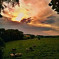 Landscape near Lemiers