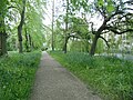 Riverside path, Magdalene College