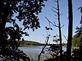 Der Mühlensee bei Ankershagen, einer der drei ursprünglichen Quellseen der Havel