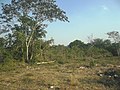 Siniltún, Yucatán.