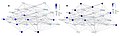 Image 18Topological positions versus mobility: (A) bottom-up groups (sessile and drifters), (B) groups at the top of the food web. Phyto, phytoplankton; MacroAlga, macroalgae; Proto, pelagic protozoa; Crus, Crustacea; PelBact, pelagic bacteria; Echino, Echinoderms; Amph, Amphipods; HerbFish, herbivorous fish; Zoopl, zooplankton; SuspFeed, suspension feeders; Polych, polychaetes; Mugil, Mugilidae; Gastropod, gastropods; Blenny, omnivorous blennies; Decapod, decapods; Dpunt, Diplodus puntazzo; Macropl, macroplankton; PlFish, planktivorous fish; Cephalopod, cephalopods; Mcarni, macrocarnivorous fish; Pisc, piscivorous fish; Bird, seabirds; InvFeed1 through InvFeed4, benthic invertebrate feeders. (from Marine food web)