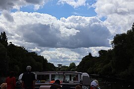 View from the River Thames in Richmond (7 August 2023) 28.jpg