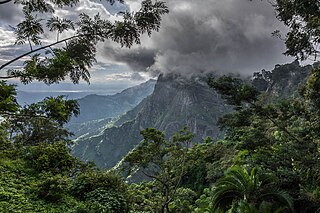 <span class="mw-page-title-main">Usambara Mountains</span>