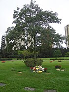 Cemitério do Morumbi (Morumbi Cemetery) in São Paulo city, Brasil. Senna is buried here.