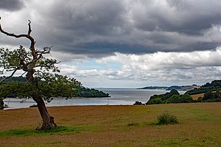 <span class="mw-page-title-main">Carrick Roads</span> Estuary of the River Fal in Cornwall, England