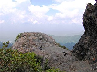 <span class="mw-page-title-main">Charlies Bunion</span> Mountain in the eastern United States