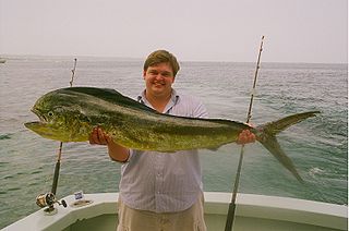 <span class="mw-page-title-main">Mahi-mahi fishing</span>