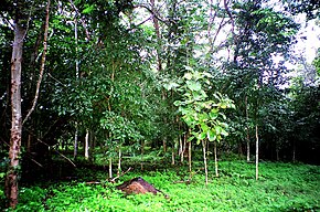 Sai Yok National Park, Thailand