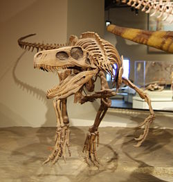 Herrerasaurus ischigualastensis