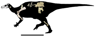 <i>Hippodraco</i> Extinct genus of dinosaurs