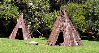 <span class="mw-page-title-main">Coast Miwok</span> Tribe of Native American people