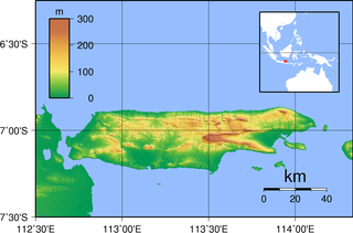 <span class="mw-page-title-main">Madura</span> Island in Indonesia