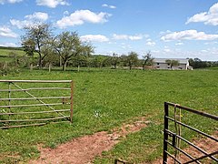 Orchard, Old Lynch - geograph.org.uk - 1852916.jpg