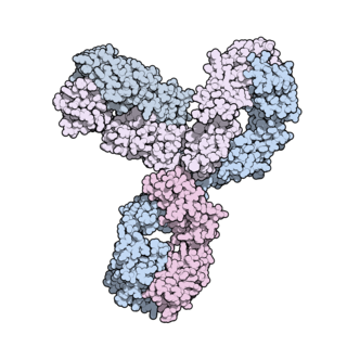 <span class="mw-page-title-main">Pembrolizumab</span> Pharmaceutical drug used in cancer treatment