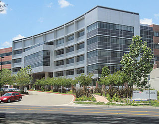 <span class="mw-page-title-main">Safeway</span> American supermarket chain owned by Albertsons Companies, Inc