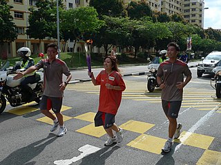 <span class="mw-page-title-main">2010 Summer Youth Olympics torch relay</span>