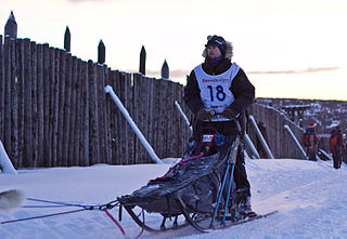 <span class="mw-page-title-main">Dog sled</span> Sled pulled by one or more sled dogs