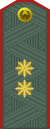 Uzbekistan-army-OF-7.svg