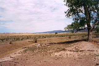 Elk Mountains (South Dakota)