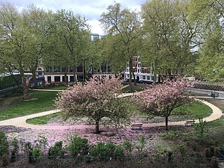 <span class="mw-page-title-main">Charterhouse Square</span> Garden square in Farringdon in the London Borough of Islington