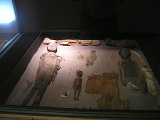 <span class="mw-page-title-main">Chinchorro mummies</span> Prehistoric South American mummies