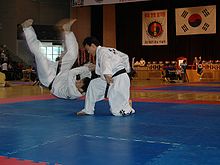 Hapkido4.jpg