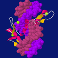 A fragment of transcription factor TFIIIA forming three consecutive zinc finger motifs, bound to a stretch of DNA