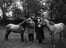 Deux hommes dont un militiare, entourés de deux petits chevaux.