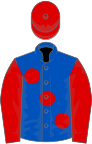 Royal blue, large red spots, sleeves and cap