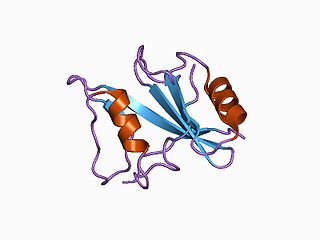 <span class="mw-page-title-main">SLAMF1</span> Protein-coding gene in humans