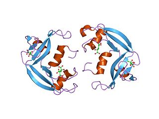 Eosinophil cationic protein