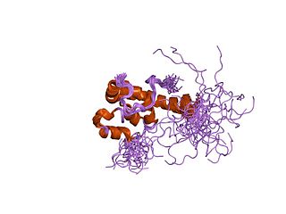 <span class="mw-page-title-main">PAIP2</span> Protein-coding gene in the species Homo sapiens