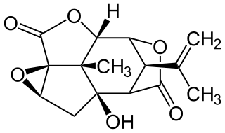 <span class="mw-page-title-main">Picrotoxin</span> Chemical compound