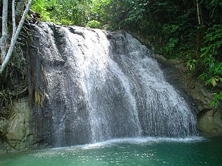 <span class="mw-page-title-main">Biak–Numfoor rain forests</span> Ecoregion in Indonesia