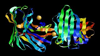 <span class="mw-page-title-main">Aspergillopepsin II</span>