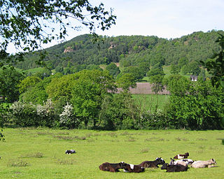 <span class="mw-page-title-main">Bickerton, Cheshire</span> Human settlement in England